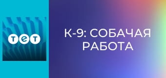 К-9: Собачая работа