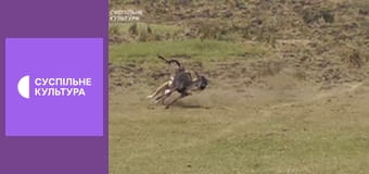 Д/с "Арсенал животных". "Клыки и когти".