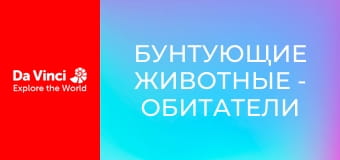 Бунтующие животные - Обитатели сыра