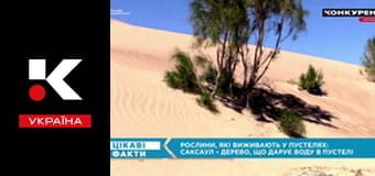 Интересные факты.