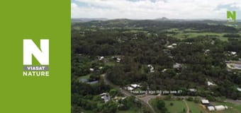 Aussie Snake Wranglers - Triple Threat