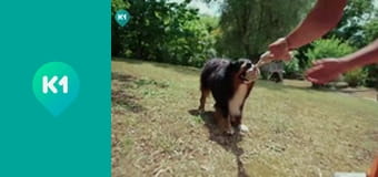 "Орел і Решка. Навколо світу".