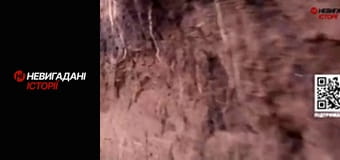 Невигадані історії.