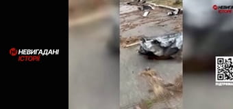 Невигадані історії. Миротворець.