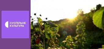 Гімн України.