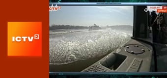 "Громадянська оборона".