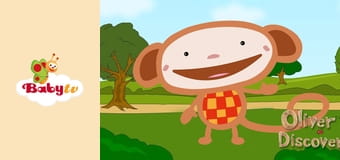 Exploring with Oliver - Forest Exploring with Oliver - Forest