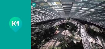 "Пригоди з Яною Метьолкіною".