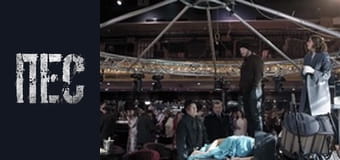 Пес, Сезон 6, Серія 24