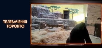 Российско-Украинская война - серия 4