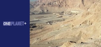 Подорож у Минуле, Випуск 5