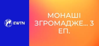 Монаші Згромадження, 3 еп. Згромадження Малих Сестер Непорочного Серця Марії (гоноратки).