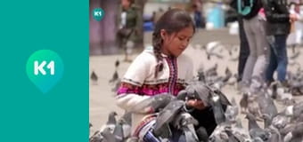 "Орел і Решка. Дайджест".