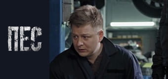 Пес, Сезон 6, Серія 26 Пес, Сезон 6, Серія 26