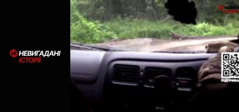 Невигадані історії.