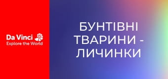 Бунтующие животные - Личинки жуков активизируются ночью