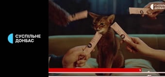 Волейбол. Чемпіонат світу у Філіппінах. Чоловіки. Найкраще. Волейбол. Чемпіонат світу у Філіппінах. Чоловіки. Найкраще.