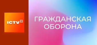 "Гражданская оборона".