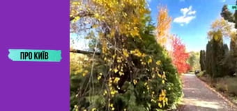 Де погуляти в Києві восени? Секретна київська оаза. Сирецький Дендропарк.