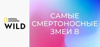Самые смертоносные змеи в мире S1E2 - Африка