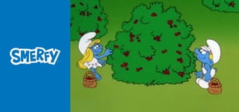 Nie wykonano nowej wersji Nie wykonano nowej wersji