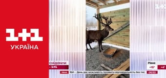 Сніданок з 1+1