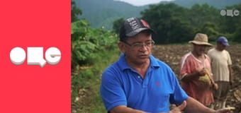 Особливості національної роботи, 4 сезон, 43 еп.