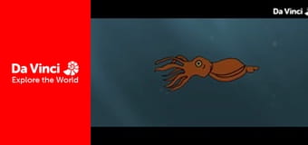 Детеныши - Пингвины