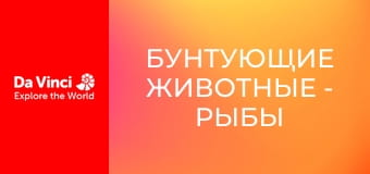 Бунтующие животные - Рыбы в илистых норах