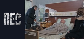 Пёс, Сезон 6, Серия 38