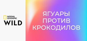 Ягуары против крокодилов