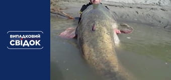 Случайный свидетель. Вокруг света, Выпуск 37 Случайный свидетель. Вокруг света, Выпуск 37