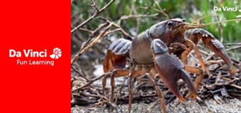 Xploration Awesome Planet - Teens Making An Impact