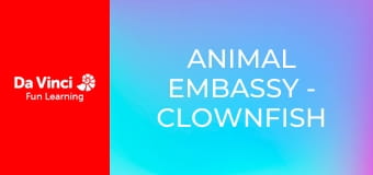 Animal Embassy - Clownfish and White Tiger Animal Embassy - Clownfish and White Tiger