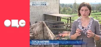 Слідство ведуть екстрасенси, 6 сезон, 42 еп. Чвари.