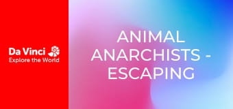 Animal Anarchists - Escaping the Wasp