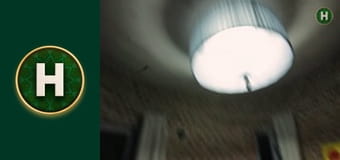 Орел і Решка. Земляни