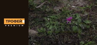 По-простому про складне. Серiя 12