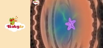 Happy Lights Happy Lights