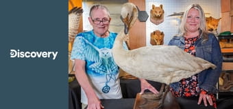 Реставраторы S6E11