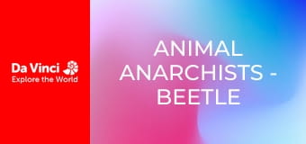 Animal Anarchists - Beetle Larvae Get Busy at Night