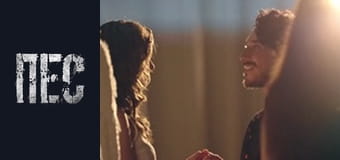 Пес, Сезон 6, Серія 15