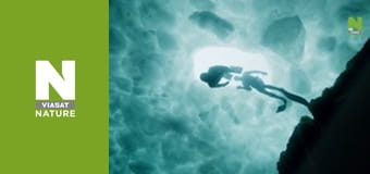 Great Lakes Untamed - The Big Freeze