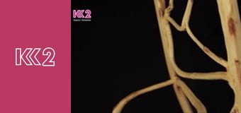 Готуємо Разом. Випічка E16 - Італійська випічка