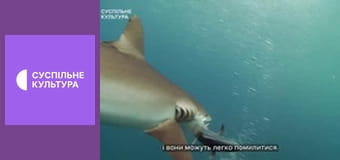 Х/ф "Серце на гачку".