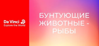 Бунтующие животные - Рыбы в илистых норах