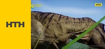 "Случайный свидетель".