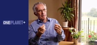 В поисках знаний. - cерия 4 В поисках знаний. - cерия 4