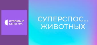 Д/с "Суперспособности животных". "Прикосновение".