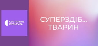 Д/с "Суперздібності тварин". "Дотик".